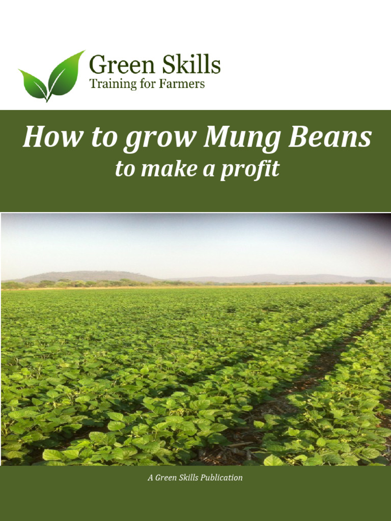 Grow Mung Beans for Profit Guide | PDF | Fertilizer | Legume