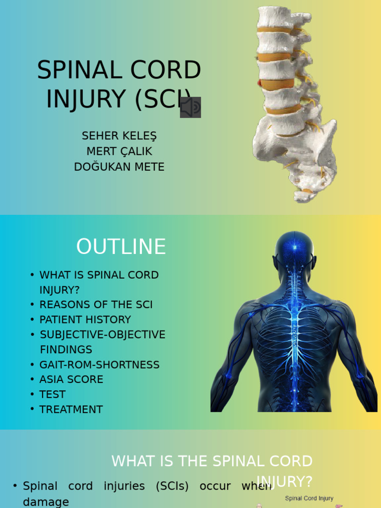 Understanding Spinal Cord Injury Treatment | PDF | Spinal Cord Injury ...