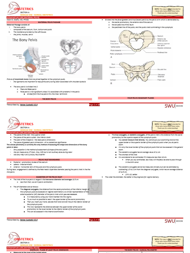 Intrapartum (Pelvis) 240124 054456 | PDF | Pelvis | Childbirth