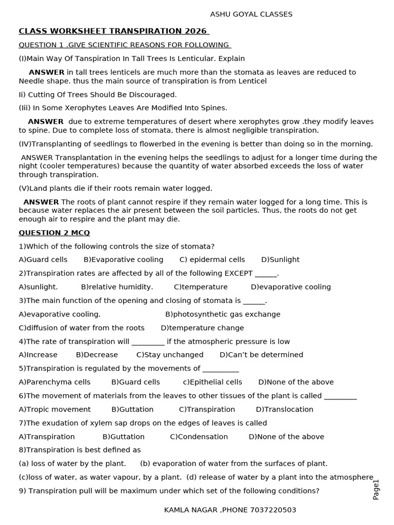 Transpiration Worksheet for Class 2026 | PDF | Stoma | Leaf