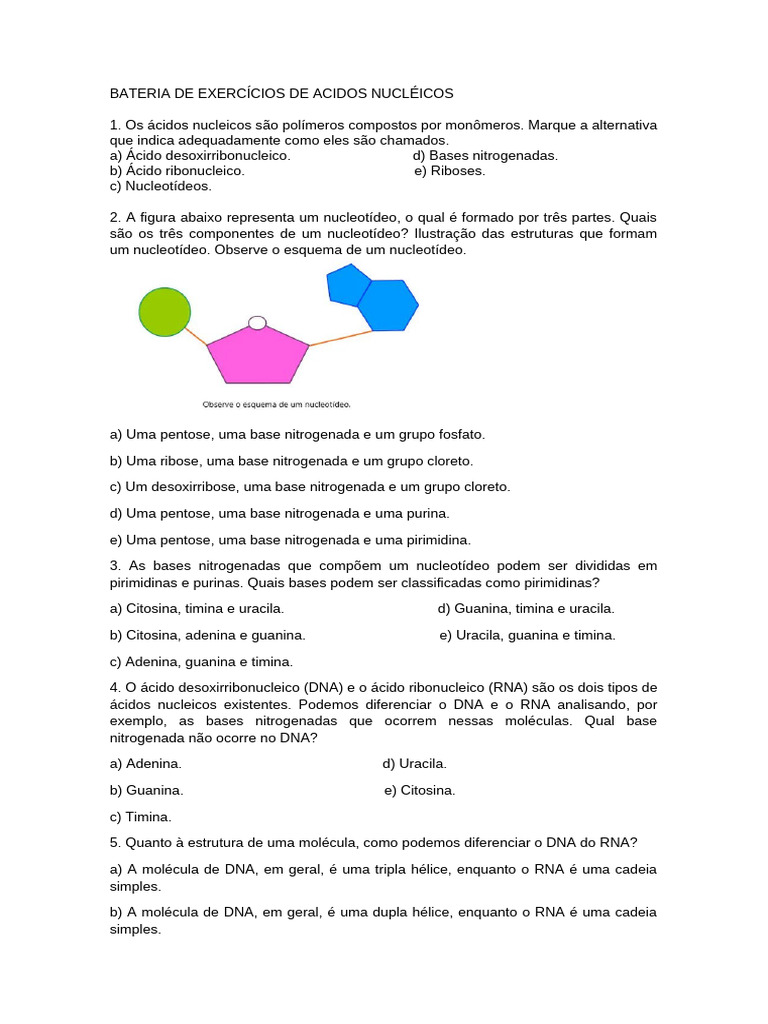 Exercícios sobre Ácidos Nucleicos | PDF | Ácidos nucleicos | RNA
