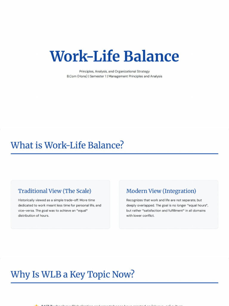 Work-Life Balance Principles and Analysis | PDF