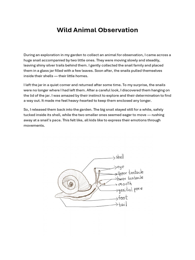 Snail Family Observation in Garden | PDF