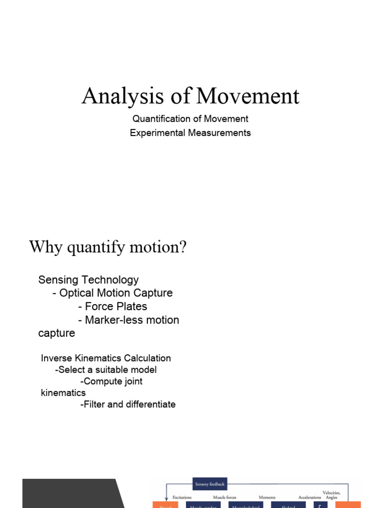 Analysis of Movement | PDF