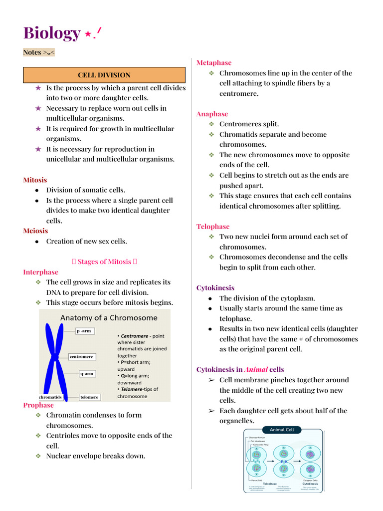 Cell Division (1) | PDF