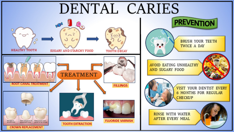 Essential Guide to Tooth Health | PDF