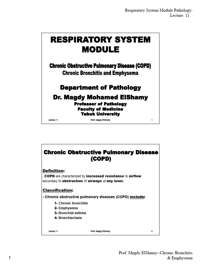 Chronic Bronchitis and Emphysema Overview | PDF | Chronic Obstructive ...