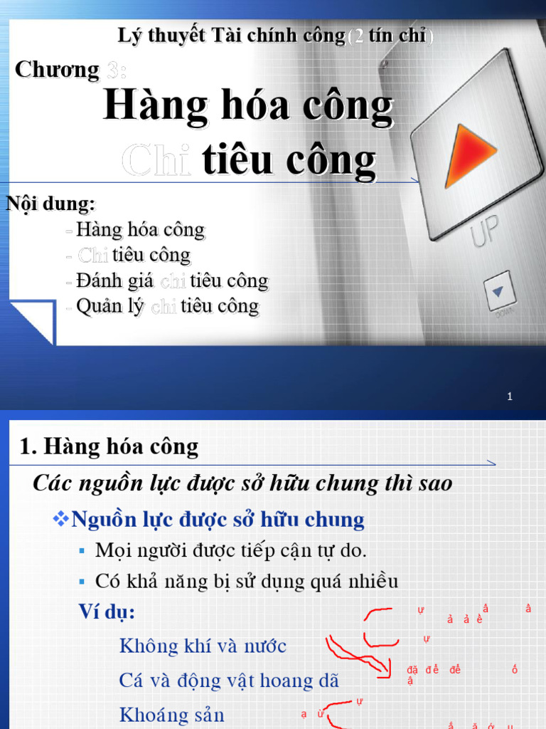 Chuong 3 - Hang Hoa Cong Va Chi Tieu Cong | PDF