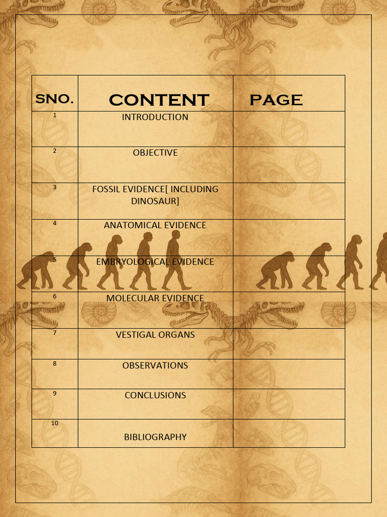 Evolutionary Evidence: Dinosaurs to Humans | PDF | Evolution | Dinosaurs