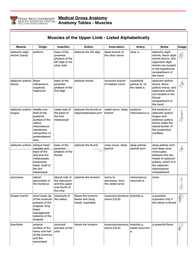 Anatomy Tables - Muscles of The Upper Limb | PDF | Thumb | Hand