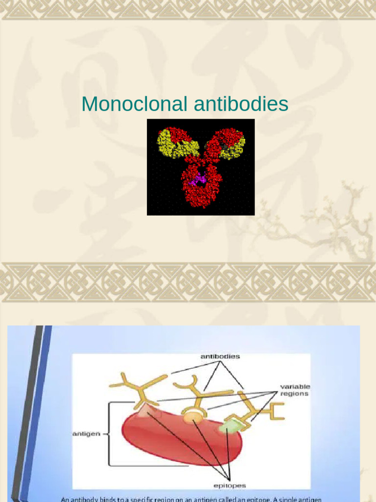 Monoclonal Antibodies | PDF | Monoclonal Antibody | Life Sciences