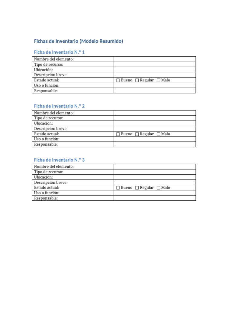 Fichas de Inventario Resumidas | PDF