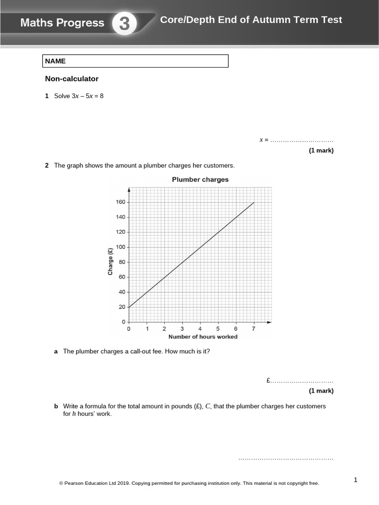Autumn Term Math Test Questions | PDF