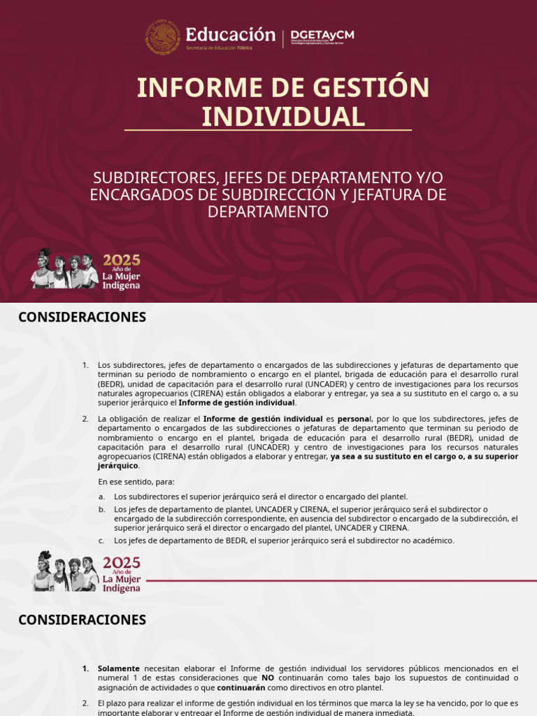 Informe de Gestión Individual para Directivos | PDF