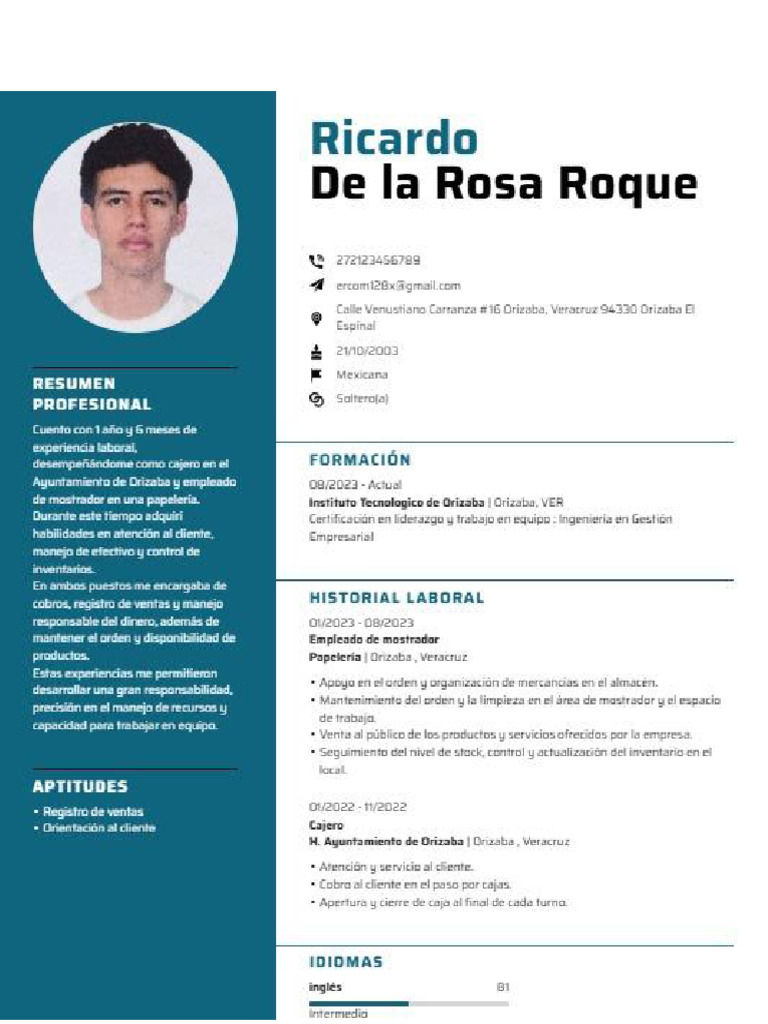 CV de La Rosa Roque Ricardo | PDF