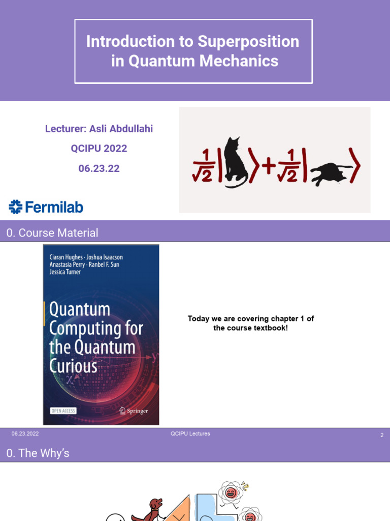 Introduction to Quantum Superposition | PDF | Quantum Mechanics | Waves