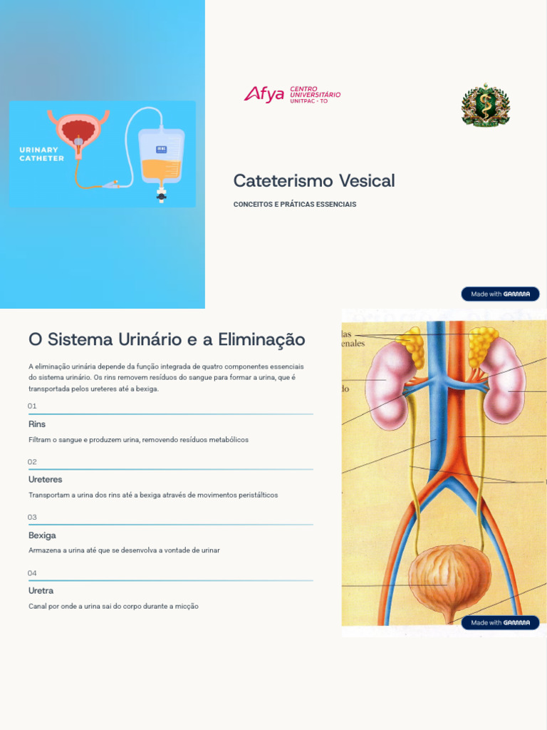 Cateterismo Vesical: Guia Completo | PDF | Micção | Medicina Clínica