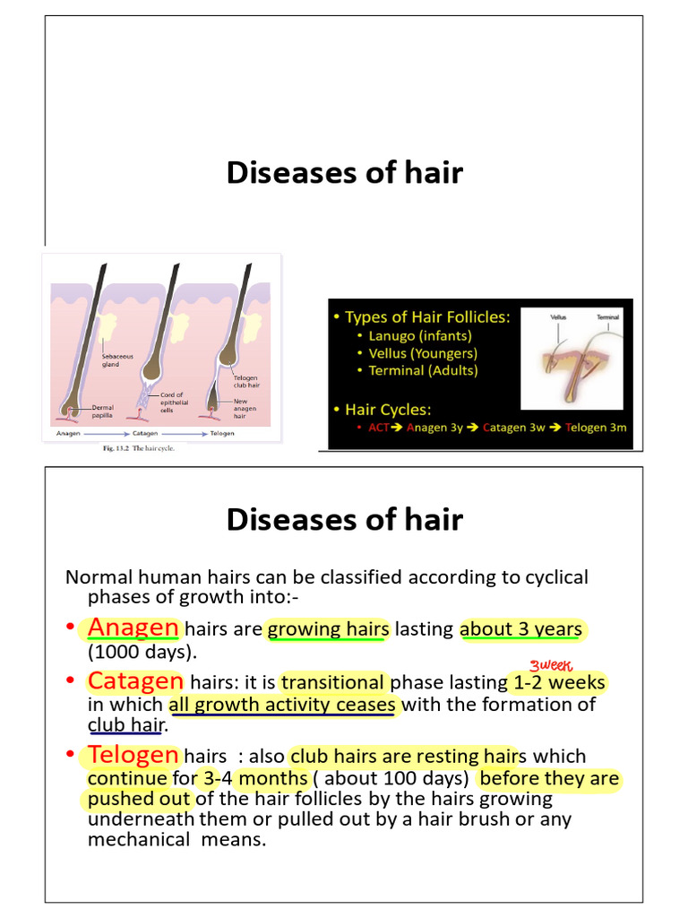 Comprehensive Guide to Hair Diseases | PDF | Hair Loss | Polycystic ...