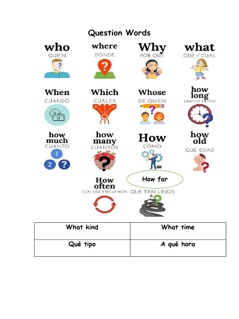 Question Words | PDF