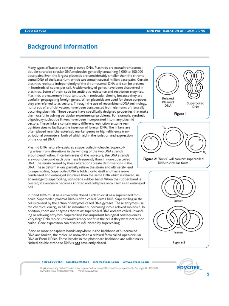 Plasmid DNA Isolation and Analysis Guide | PDF | Agarose Gel ...