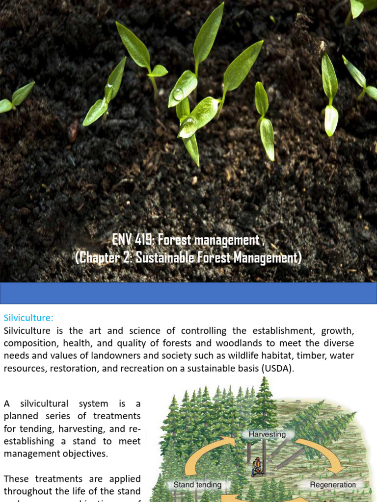 Sustainable Silviculture Practices Explained | PDF | Forest Management ...