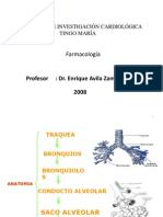 CLASE 11 - Respiratorio