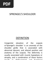 Sprengel's Shoulder