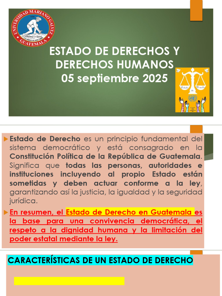 Estado de Derecho y Derechos Humanos en Guatemala | PDF | Constitución ...