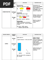Surf Act Ants From Renewable Resource | PDF | Fatty Acid | Surfactant