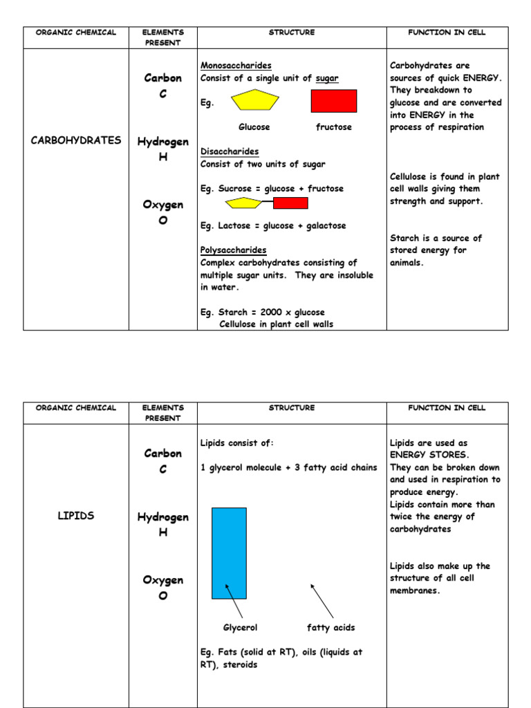 Organic Compounds: Structure & Function | PDF | Carbohydrates | Nucleic ...