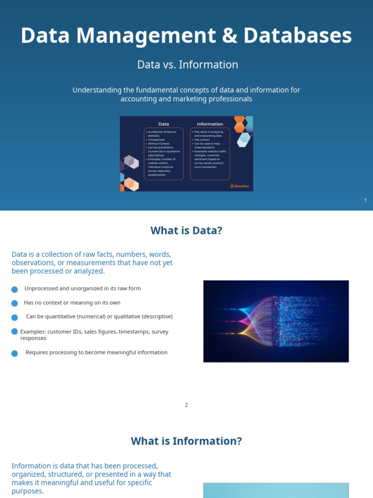 Data vs. Information | PDF | Databases | Microsoft Excel