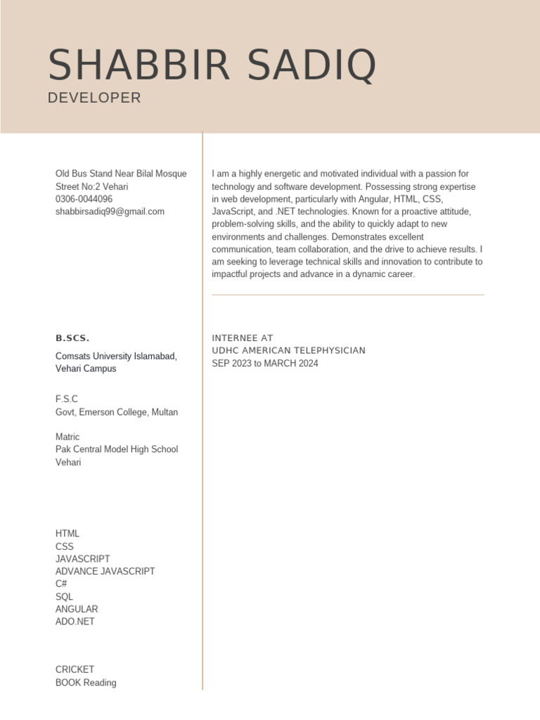 Web Developer Resume of Shabbir Sadiq | PDF