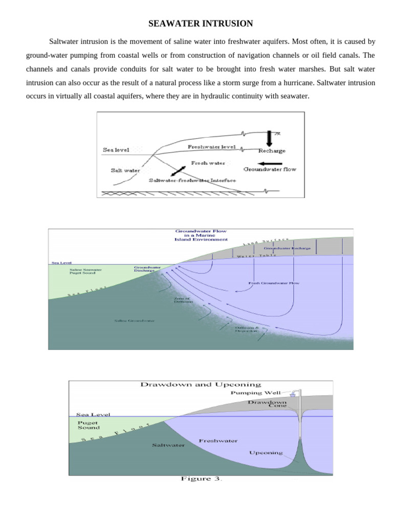SEAWATER INTRUSION | PDF | Water | Fresh Water