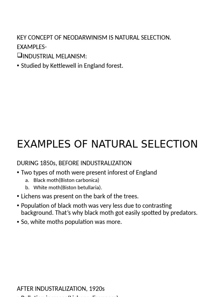 Natural Selection | PDF