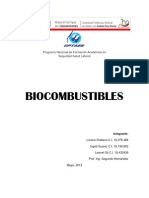 Bio Combustible