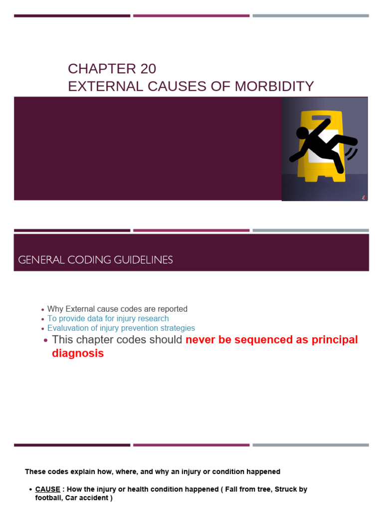 External Cause Coding Guidelines | PDF | Traffic Collision