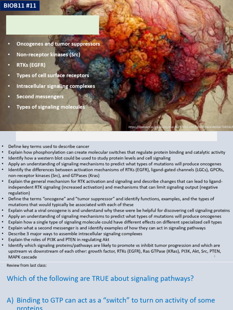 Cell Signaling Mechanisms in Cancer | PDF | Signal Transduction | Cell ...