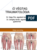 Also Vegtag Traumatologia