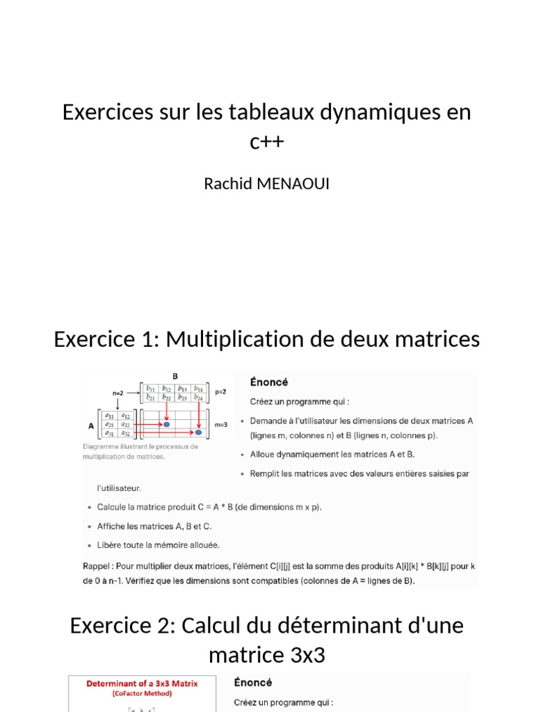 Exercices C++ sur tableaux dynamiques | PDF