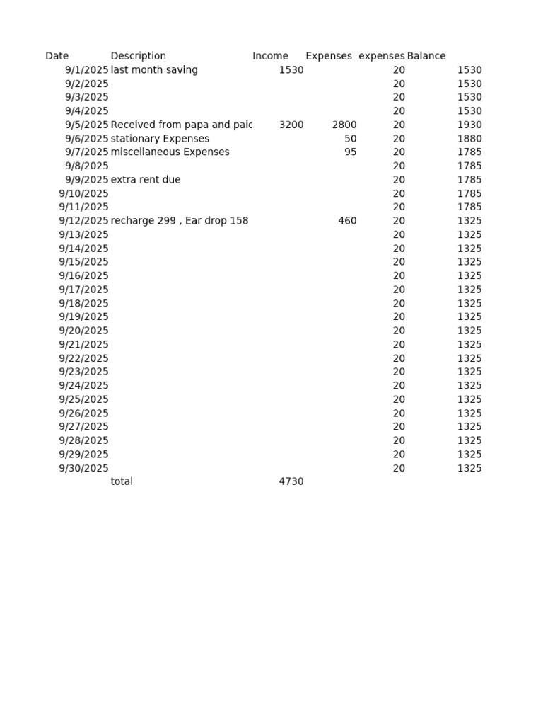 Monthly Income and Expense Report | PDF | Financial Accounting | Expense