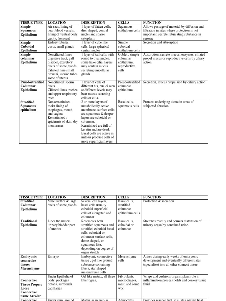 Tissue Table | Epithelium | Tissue (Biology)