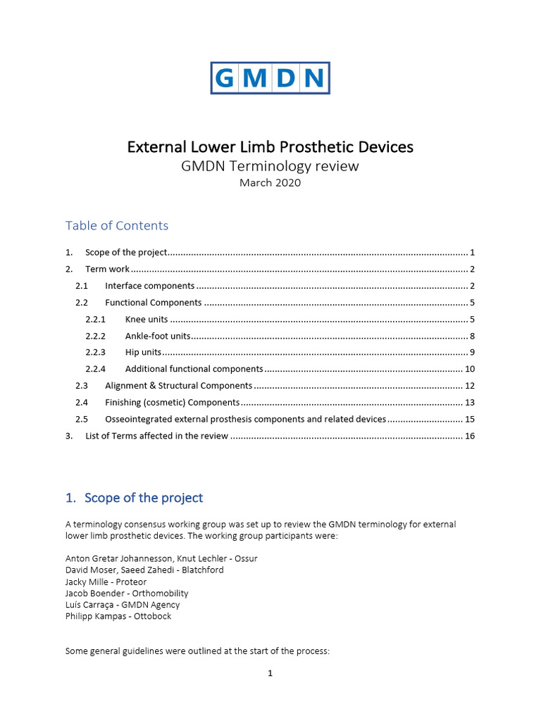 GMDN Review of Lower Limb Prosthetics | PDF | Prosthesis