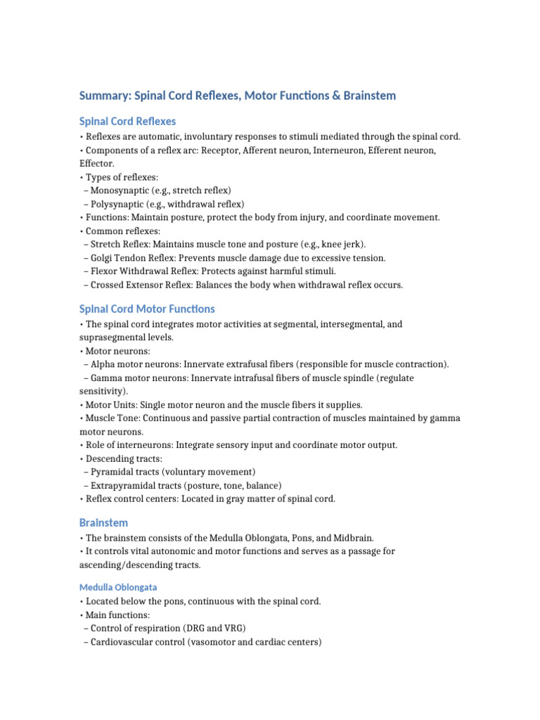 Spinal Cord Reflexes & Brainstem Functions | PDF | Motor Neuron | Brainstem