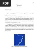 bioma-restinga-091130193322-phpapp02