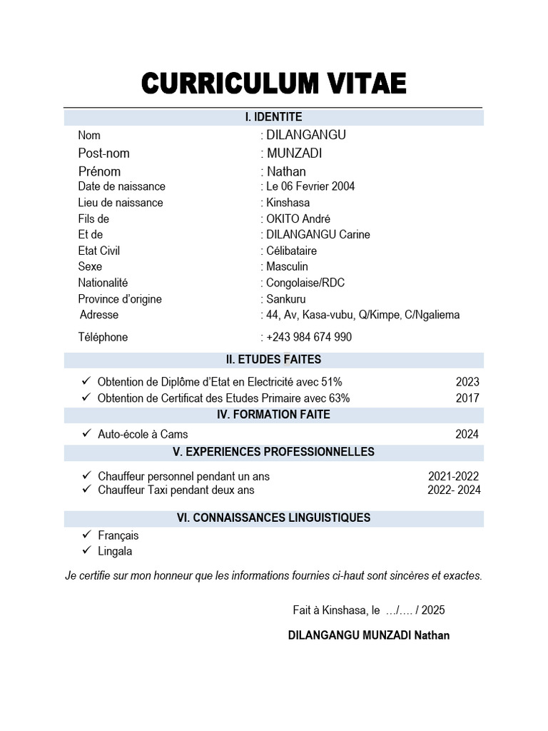 CV de Nathan Dilangangu Munzadi | PDF