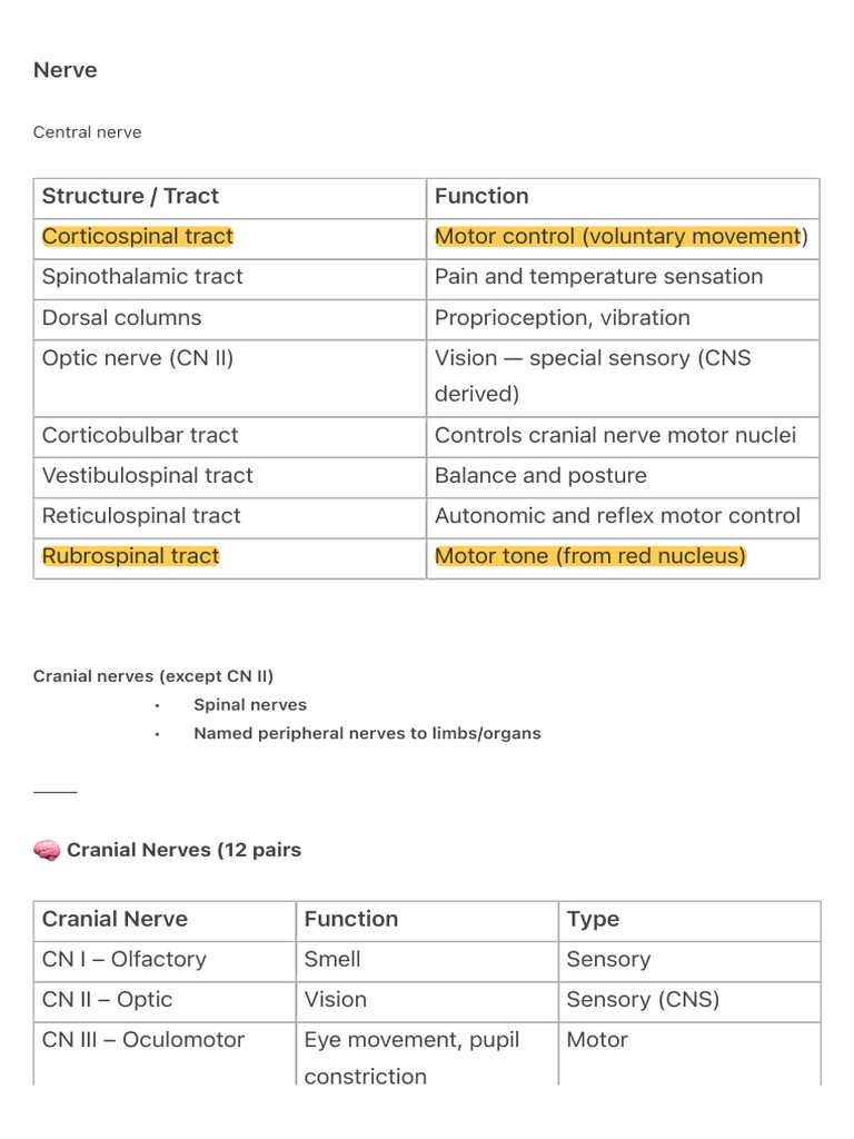 Nerve | PDF | Human Head And Neck | Neuroanatomy