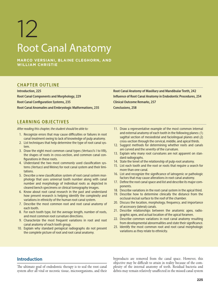 Understanding Root Canal Anatomy | PDF | Dental Anatomy | Dentistry