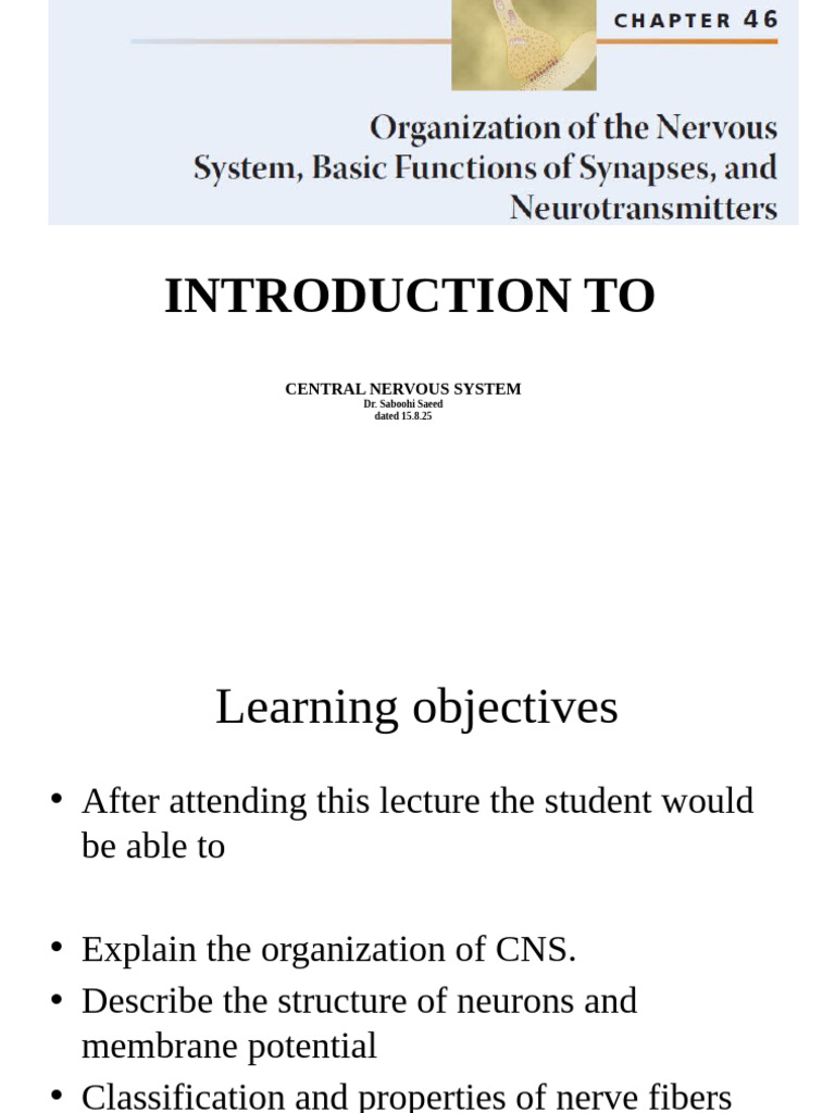 Central Nervous System Overview | PDF | Axon | Nervous System