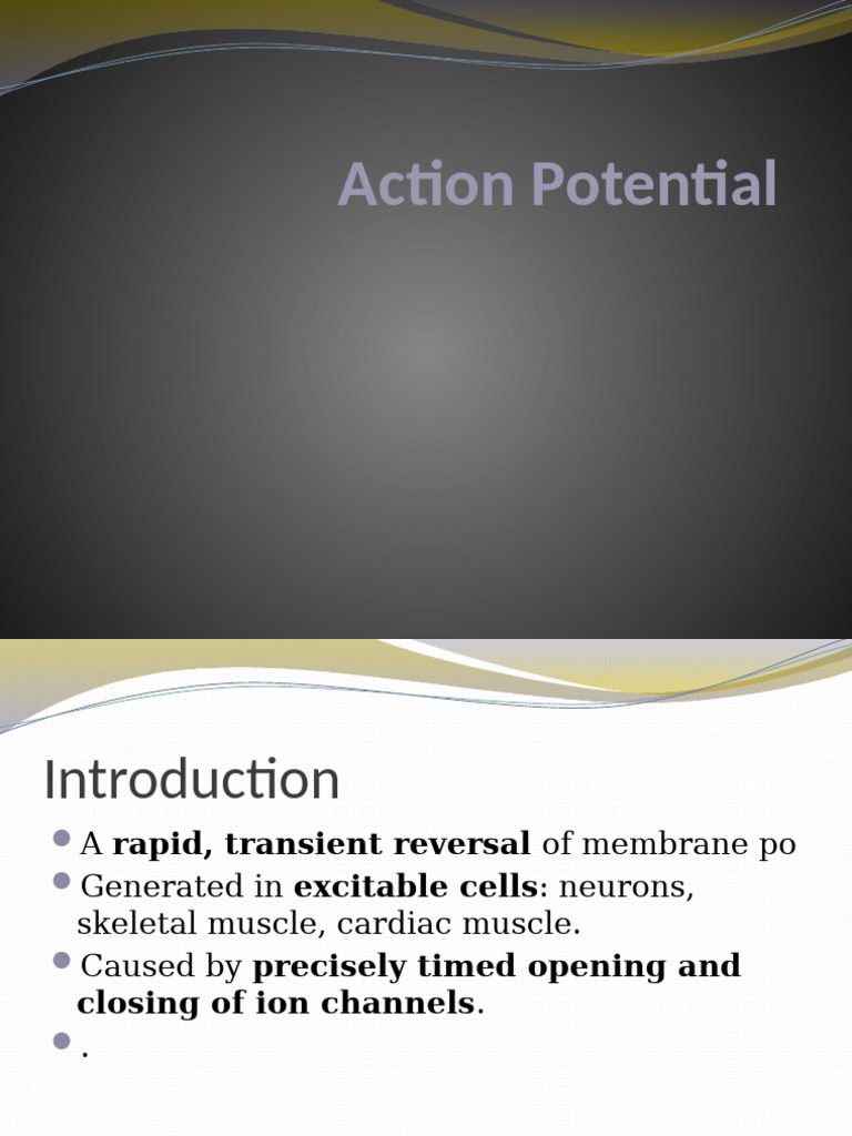 Action Potential Presentation | PDF