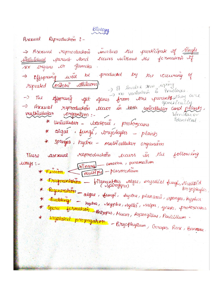 Bio Notes | PDF
